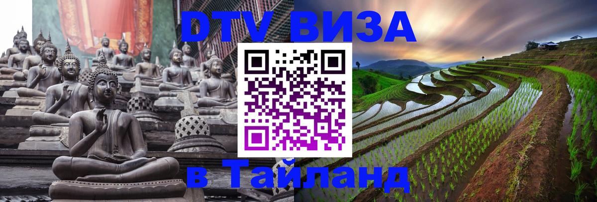 Сколько стоит DTV виза — актуальные цены, оформление даже без документов - 